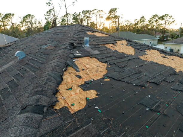 Best Storm Damage Roof Repair  in Warren Park, IN