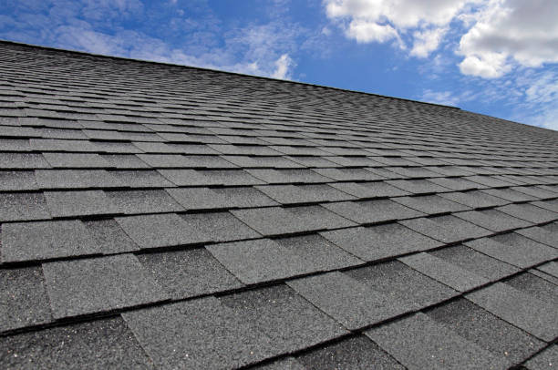 Best Gutter Installation and Repair  in Warren Park, IN