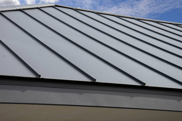 Best Steel Roofing  in Warren Park, IN