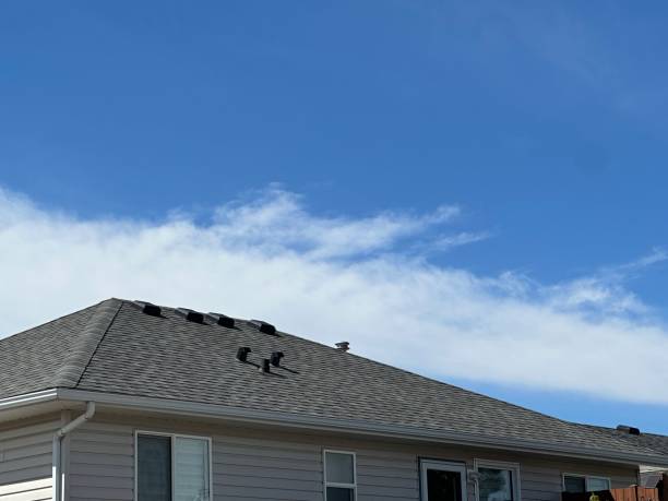 Best Asphalt Shingle Roofing  in Warren Park, IN