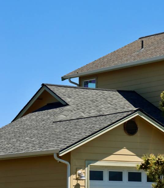 Best Roof Leak Repair  in Warren Park, IN